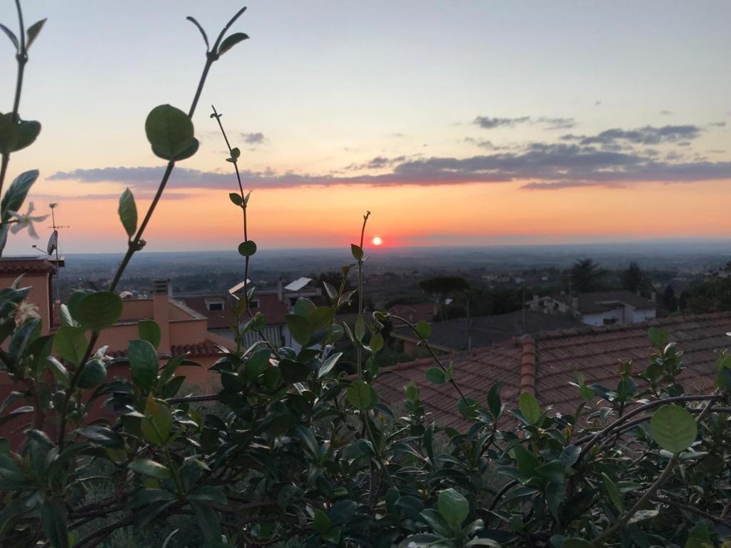 Villa Maximo Apartment Albano Laziale Zewnętrze zdjęcie