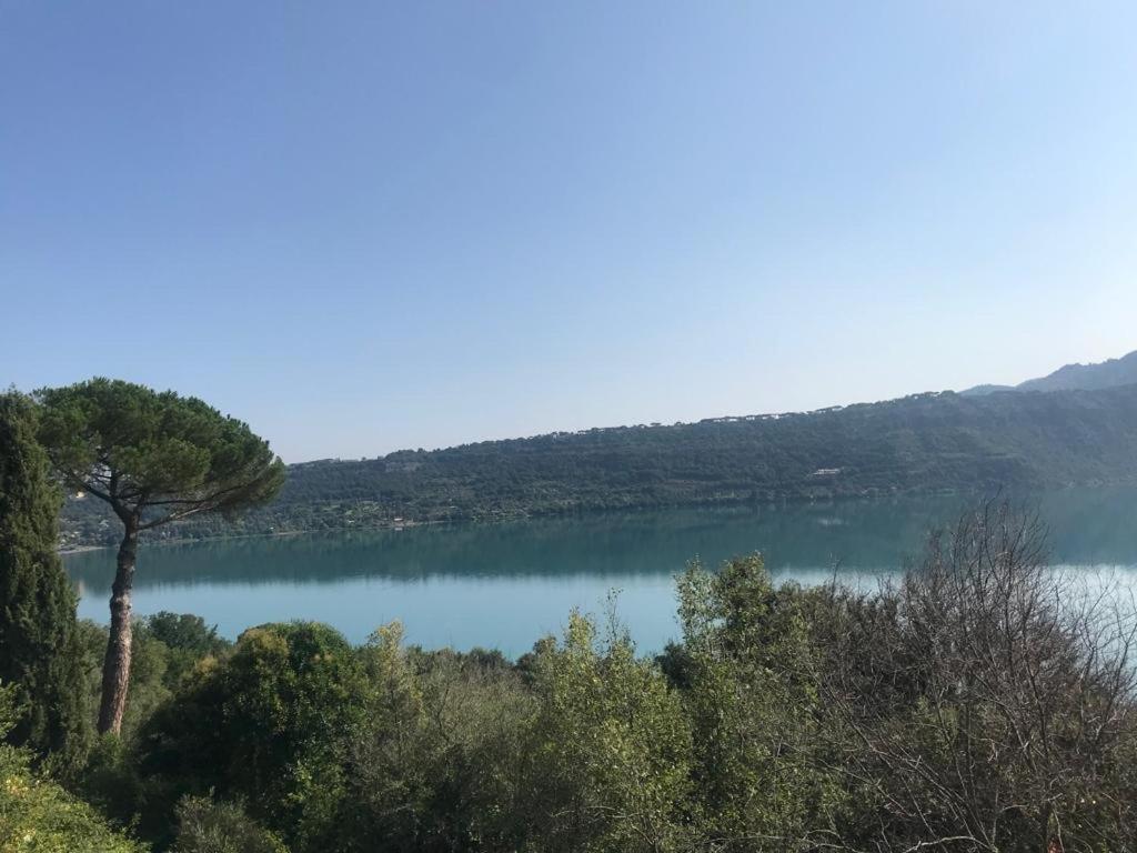 Villa Maximo Apartment Albano Laziale Zewnętrze zdjęcie